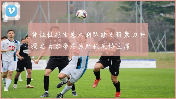 费拉拉指出意大利队缺乏凝聚力并提名马尔蒂尼为新任足协主席